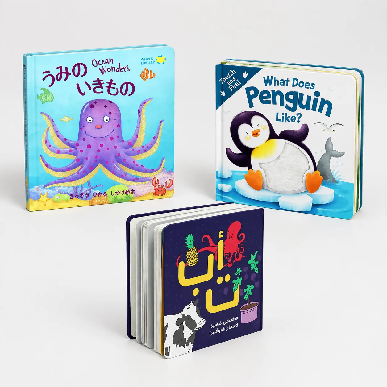 Push-pull, touch-and-feel and Arabic alphabet board book product examples