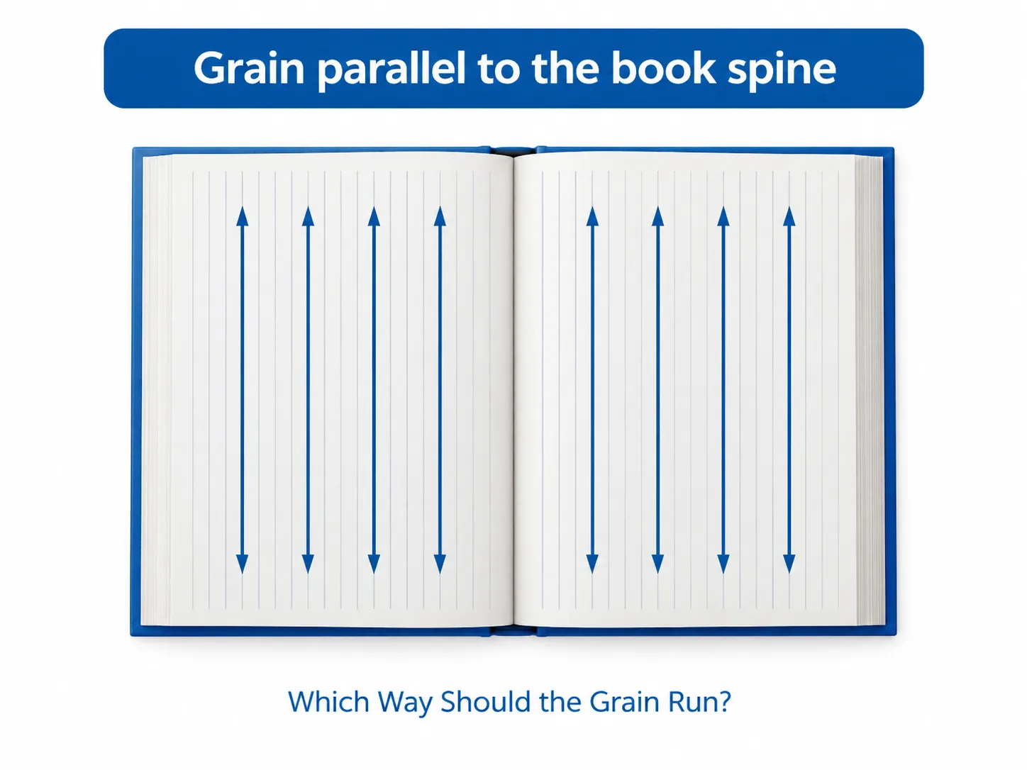 Diagram showing paper grain running parallel to a book spine