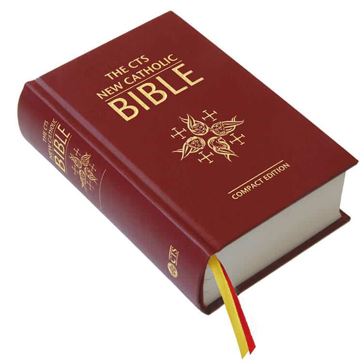 Bible Book