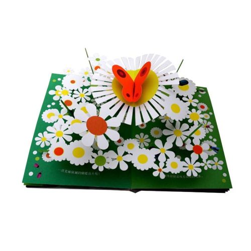 Children Pop Up Book3D Book (1)