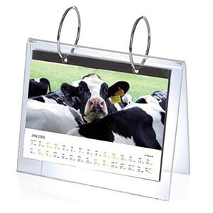 Custom Desktop Acrylic Calendar Printing