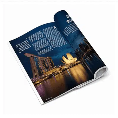 product picture1